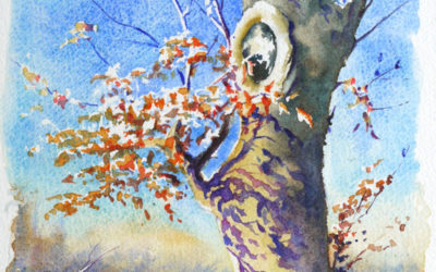 A l’ombre d’un arbre – Pas à pas à l’aquarelle