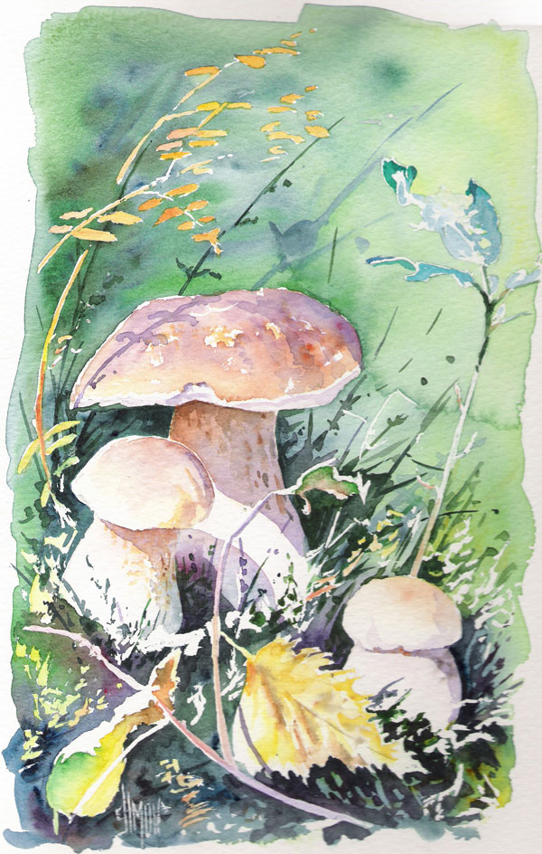 optimisation aquarelle watercolor champignon