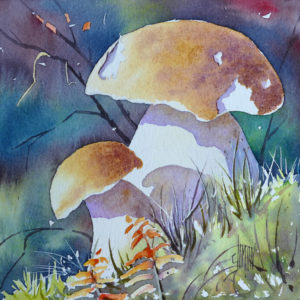 Aquarelle de deux champignons cèpes